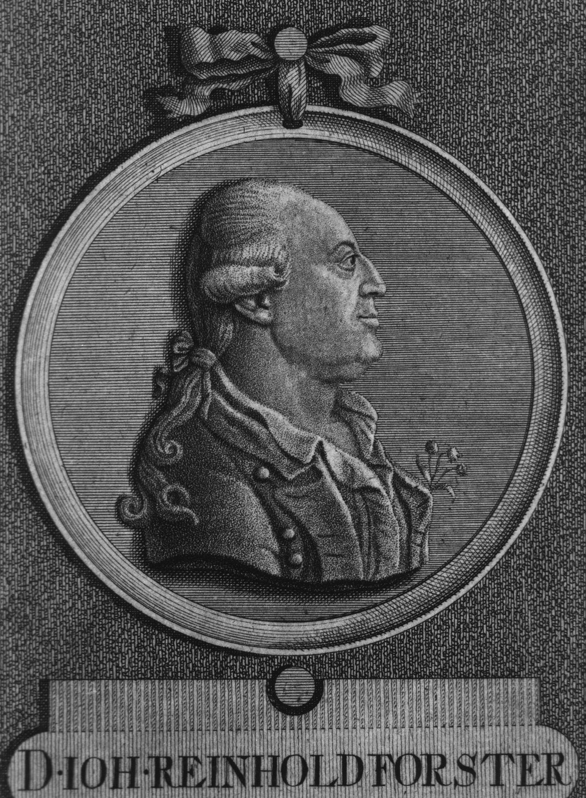 Portrét Johanna Reinholda Forstera (1729-1798), německého přírodovědce a účastníka druhé Cookovy plavby.