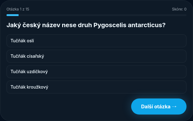 Náhled hry Kvíz o tučňácích