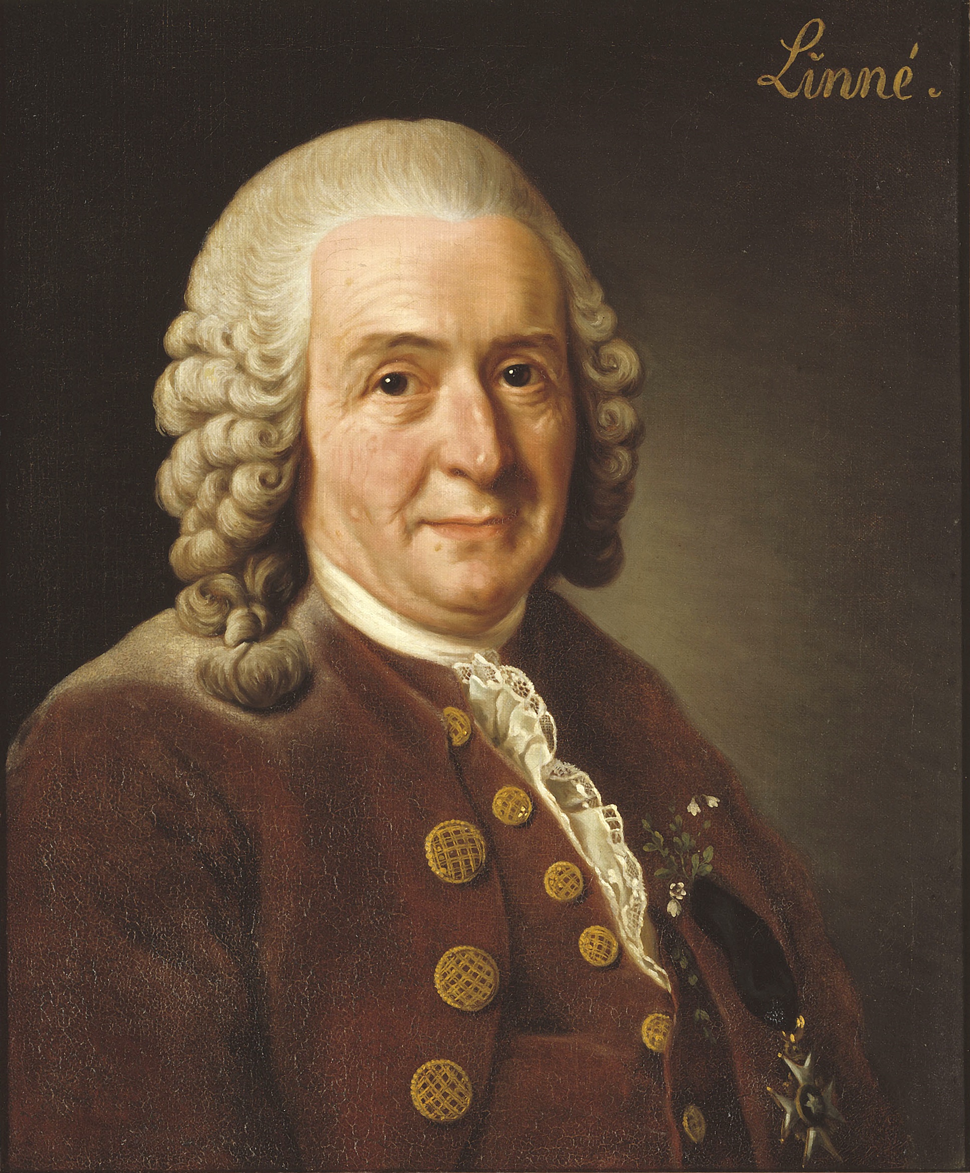 Portrét Carla Linného (1707-1778), švédského přírodovědce a otce moderní biologické taxonomie.